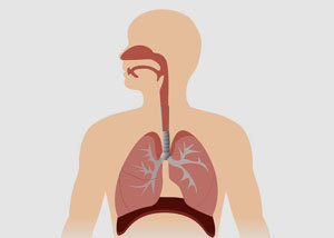 Pharmosa Biopharm | Pharmosa Biopharm